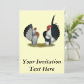 Seramaのチャボ 招待状 (スタンド正面)