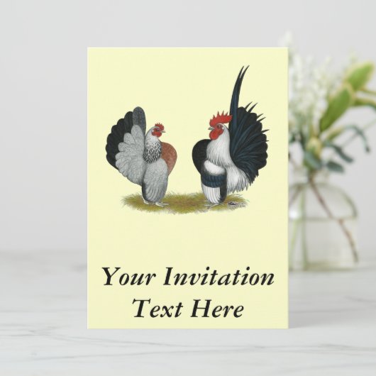 Seramaのチャボ 招待状 (スタンド正面)