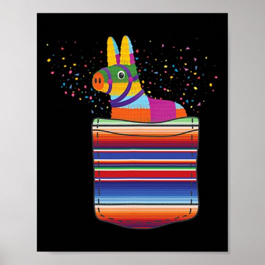 Serape Pocket Pinata Mexican Fiesta (Not An Actual ポスター (正面)