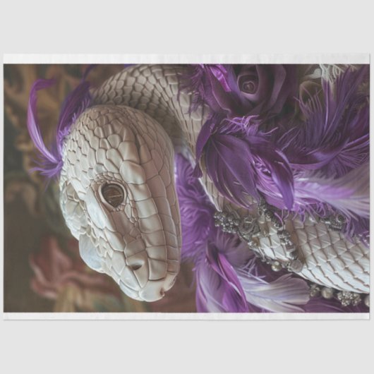 Seraphinaザ・ホワイトヘビのボーア羽毛の切り離 薄葉紙 (正面)