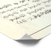 Seraphinianus codex ポスター (角)