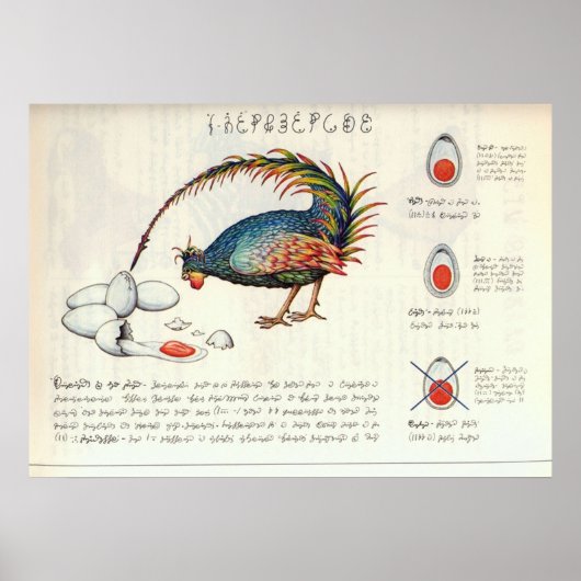 Seraphinianus codex ポスター (正面)