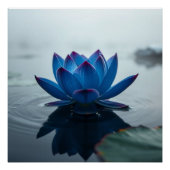 serene blue water lotus ポスター (正面)
