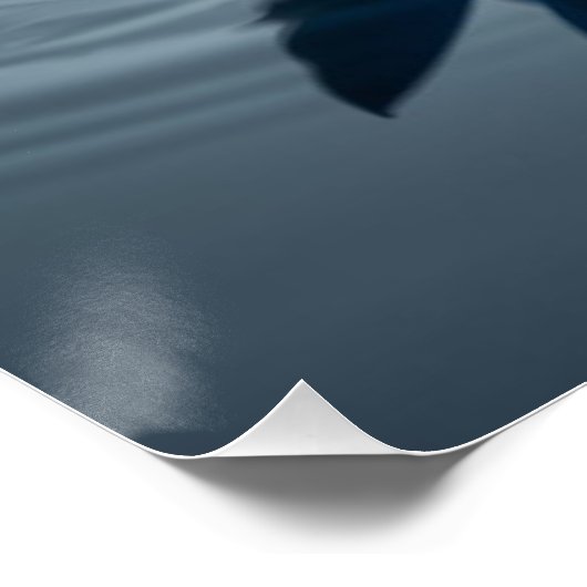 serene blue water lotus ポスター (コーナー)