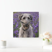 Serene Majesty: Wolfhound Sitting in a Purple Iris スクエア壁時計 (ホーム)