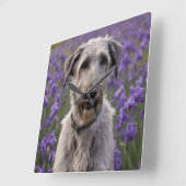 Serene Majesty: Wolfhound Sitting in a Purple Iris スクエア壁時計 (傾斜)