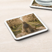 Serene Orchard Sticky Notes | Romantic Botanical コースター (左側)