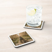 Serene Orchard Sticky Notes | Romantic Botanical コースター (右側)