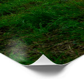 Serene River Elwy and St. Asaph Bridge ポスター (コーナー)