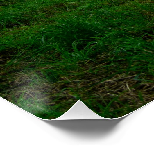 Serene River Elwy and St. Asaph Bridge ポスター (コーナー)