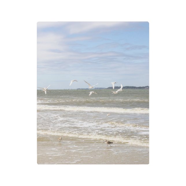 Serene Shores of Hilton Head Beach Wall Art メタルプリント (正面)