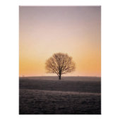 Serene Solitude: Winter Sunrise Lone Tree - Minima ポスター (正面)