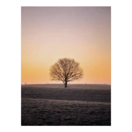 Serene Solitude: Winter Sunrise Lone Tree - Minima ポスター