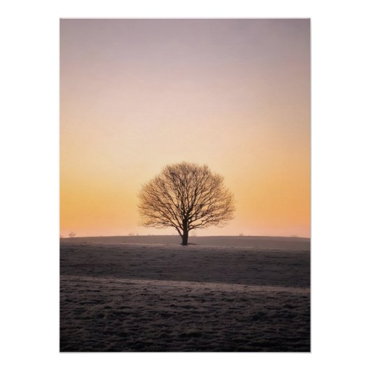 Serene Solitude: Winter Sunrise Lone Tree - Minima ポスター (正面)