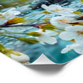 Serene White Cherry Blossoms in Spring Rain & Stre ポスター (コーナー)