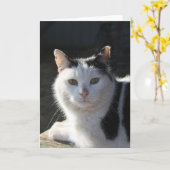 SereneCat カード (黄色い花)