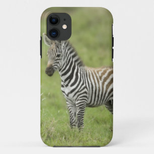 Serengetiの平野の若いシマウマ iPhone 11 ケース