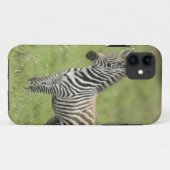 Serengetiの平野の若いシマウマ Case-Mate iPhoneケース (裏面(横))