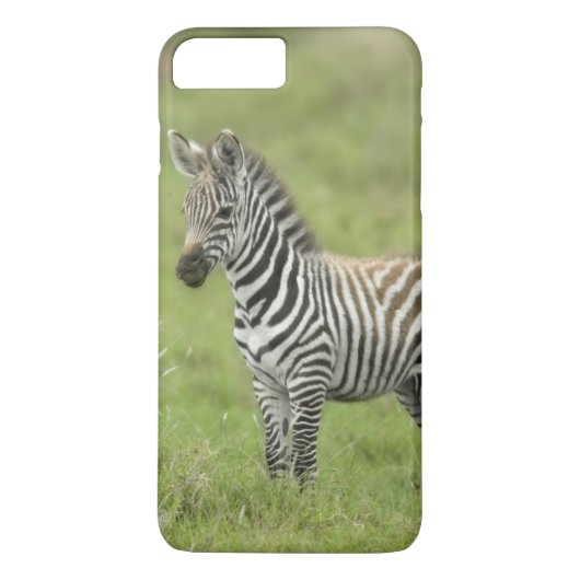 Serengetiの平野の若いシマウマ Case-Mate iPhoneケース (裏面)