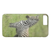Serengetiの平野の若いシマウマ Case-Mate iPhoneケース (裏面(横))
