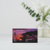 Serengetiの日没 名刺 (スタンド正面)