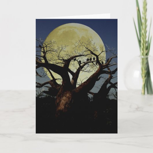 Serengeti カード (正面)