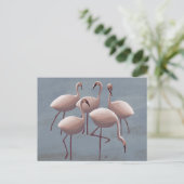 Serengeti Pink Flamingos | Safari Wildlife ポストカード (スタンド正面)