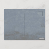 Serengeti Pink Flamingos | Safari Wildlife ポストカード (裏面)