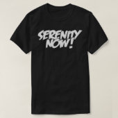 SERENITY NOW Angry Alcoholics AA Narcotics NA Anon Tシャツ (デザイン正面)