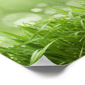 Serenity Prayer - Spring. ポスター (角)