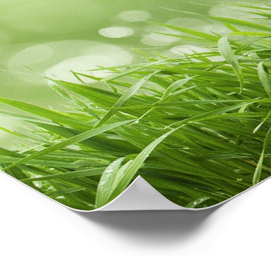 Serenity Prayer - Spring. ポスター (角)