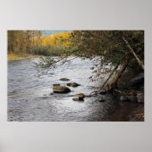 Serenity River Poster ポスター (正面)