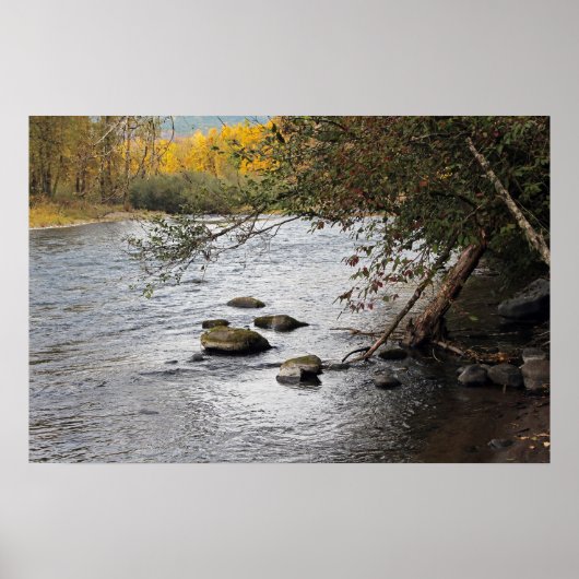 Serenity River Poster ポスター (正面)