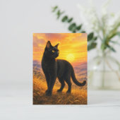 series_4_3|Sunset Hills Black Cat Japanese Art ポストカード (スタンド正面)