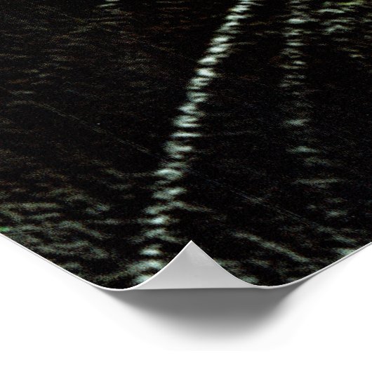 Serious Bud ポスター (角)