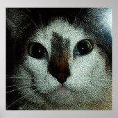 Serious Bud ポスター (正面)