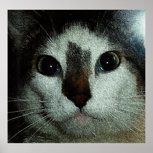 Serious Bud ポスター (正面)