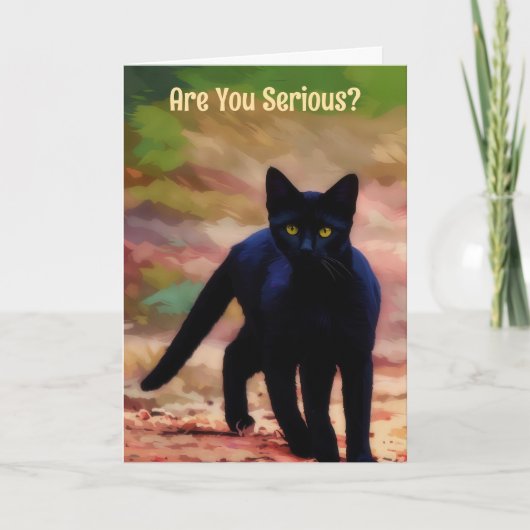 Serious Looking Black Cat Fun Pun Birthday Card カード (正面)