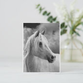 serne組成 ポストカード (スタンド正面)