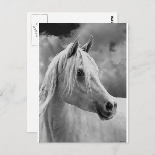 serne組成 ポストカード (正面/裏面)