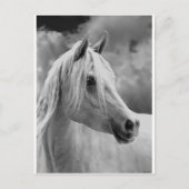 serne組成 ポストカード (正面)