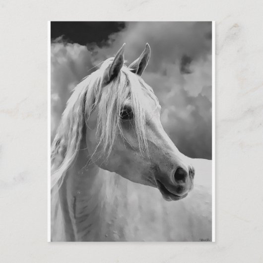 serne組成 ポストカード (正面)