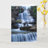 Serra da Estrela自然な| Parqueポルトガル カード (黄色い花)