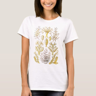 Sertulariae Tシャツ