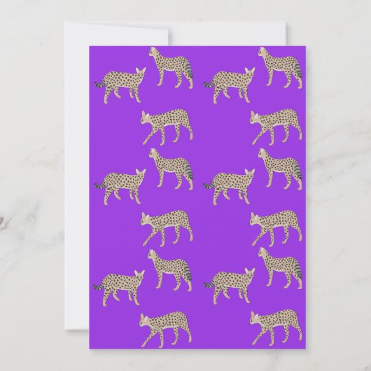 Serval Cats Thank you Card 招待状 (裏面)