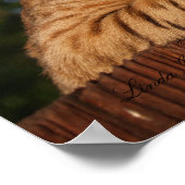 Serval Savannah Kitten USA Canvas Print ポスター (角)