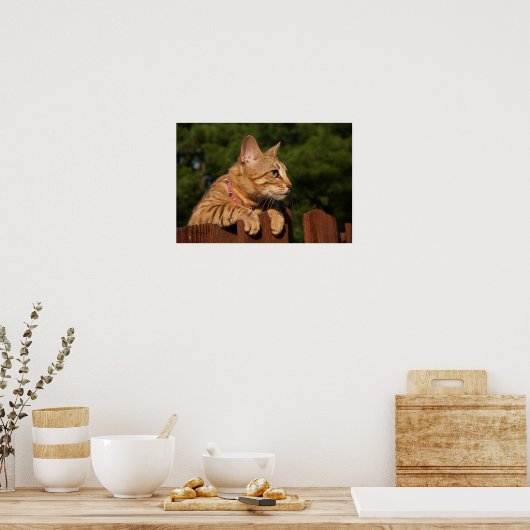 Serval Savannah Kitten USA Canvas Print ポスター (キッチン)