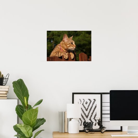 Serval Savannah Kitten USA Canvas Print ポスター (ホームオフィス)