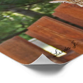 Serval Savannah Kitten USA Canvas Print ポスター (角)