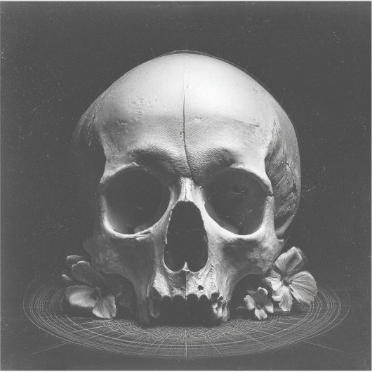 💀Served Cold — Baroque Fine Art シール (正面)